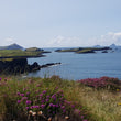 Load image into Gallery viewer, Ring of Kerry Day Tour