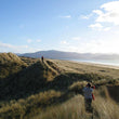 Load image into Gallery viewer, Dingle Peninsula Day Tour