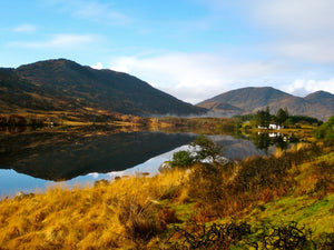 Ring of Kerry Day Tour by Rail
