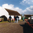 Load image into Gallery viewer, Ring of Kerry Day Tour