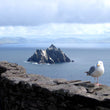 Load image into Gallery viewer, Ring of Kerry Day Tour