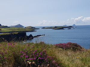 Ring of Kerry Day Tour by Rail