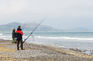 Dingle Peninsula Day Tour