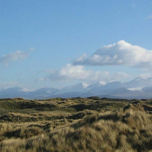 Dingle Peninsula Day Tour