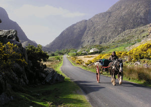 Gap of Dunloe Outdoor Day Tour