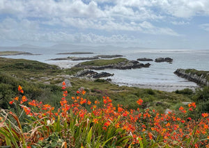 Ring of Kerry Day Tour by Rail