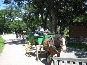 Ring of Kerry Day Tour