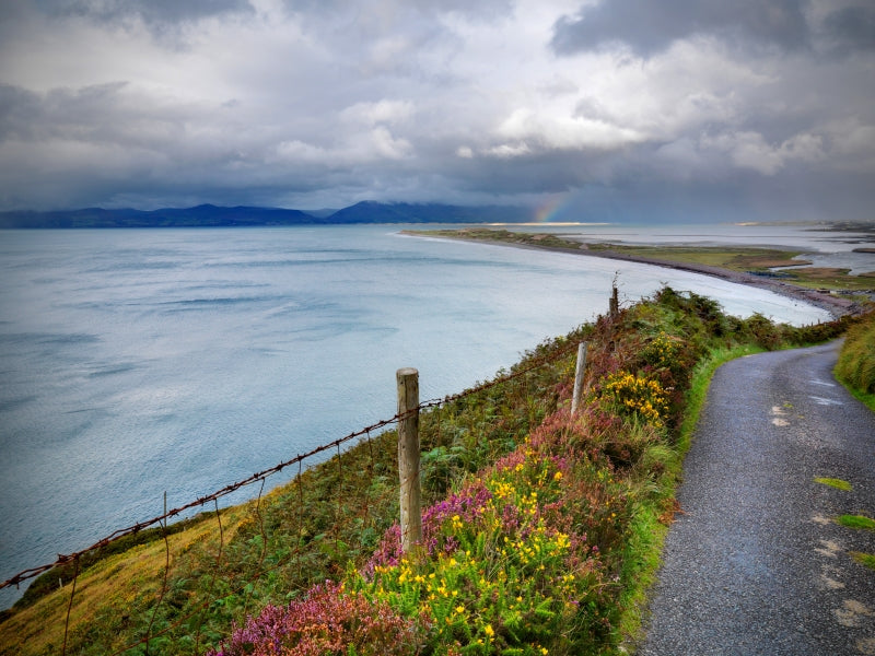 Ring of Kerry Day Tour by Rail