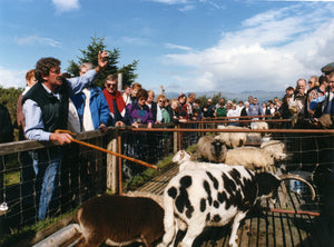 Ring of Kerry Day Tour by Rail