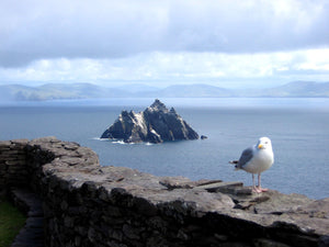 Ring of Kerry Day Tour by Rail